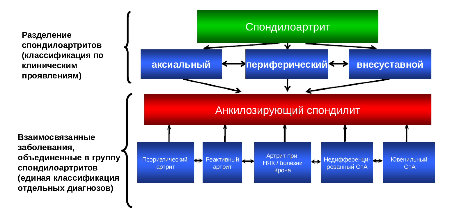 лучшие ревматологи, ревматолог что лечит, ревматолог записаться, консультация ревматолога, взрослый ревматолог, онлайн-консультация ревматолога, ревматолог боли в суставах, запись к врачу ревматологу, ревматолог онлайн, артрит ревматологи